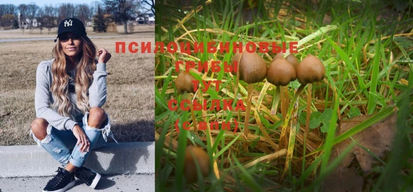 apvp Богородицк