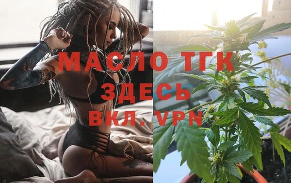 apvp Богородицк