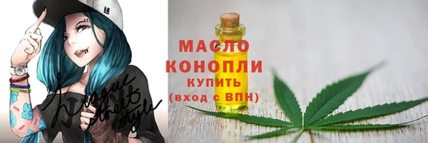 гидропоника Бородино