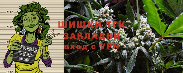 молекула духа Богородск