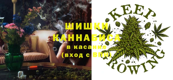 apvp Богородицк