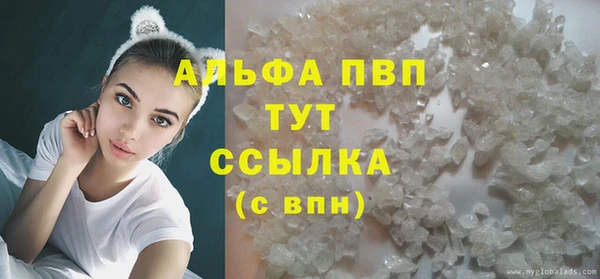 гидропоника Бородино
